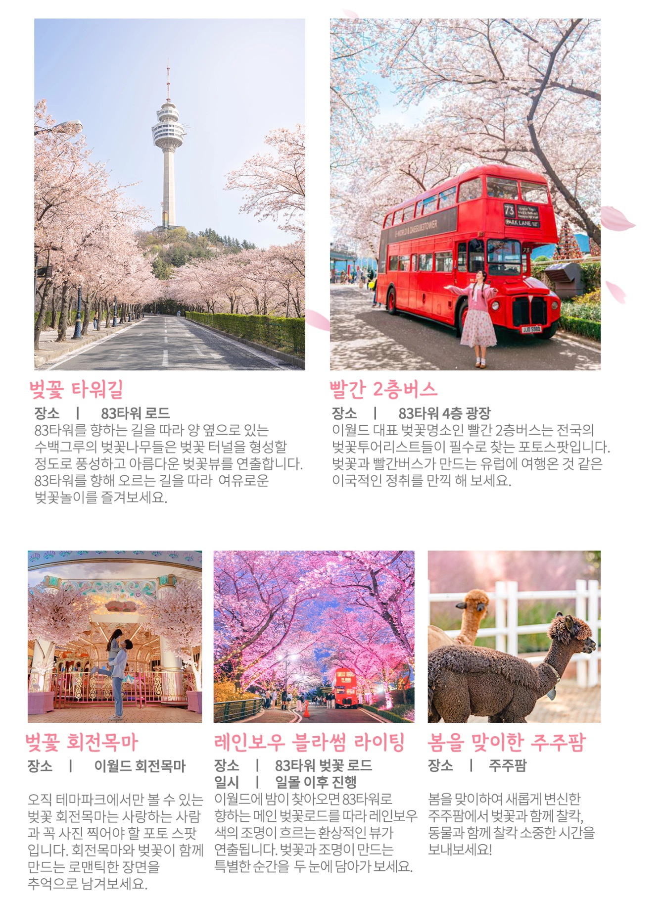 2025 이월드 블라썸 피크닉