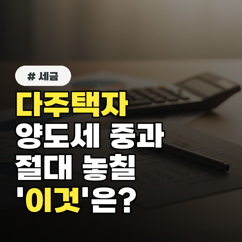세무사가 경고! 다주택자 양도세 중과, 절대 놓치면 안 될 '이것'