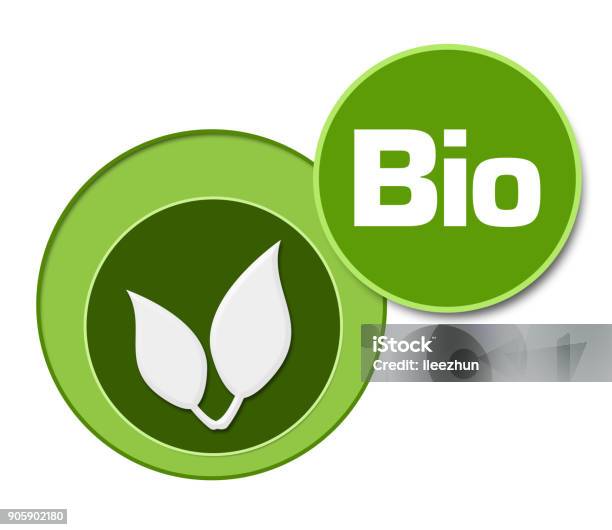 바이오 급등주 vs 전통 우량주 (고위험고수익, 안정성, 수익률비교)