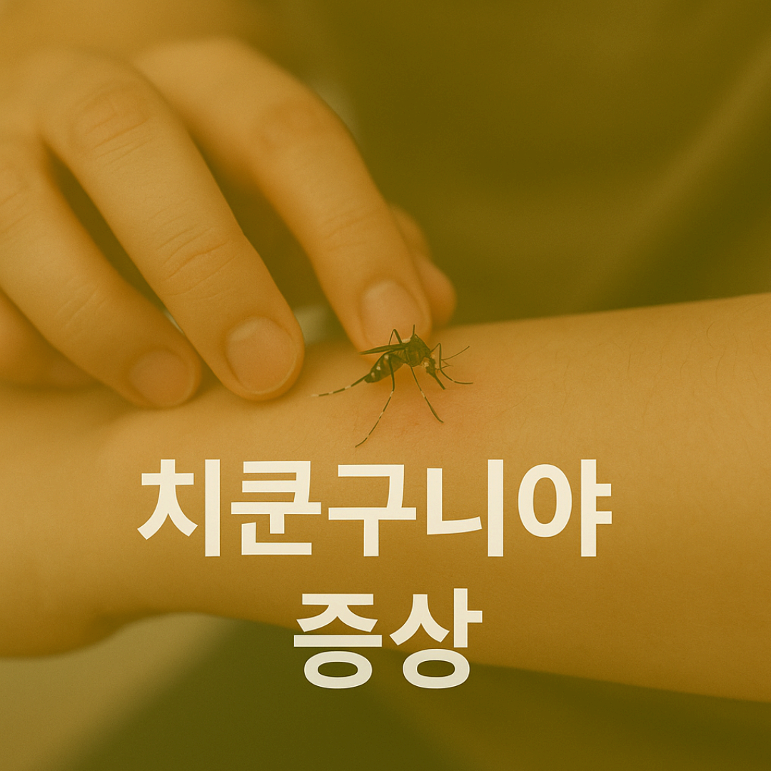 치쿤구니야는 심한 근육통과 관절염처럼 통증을 유발할 수 있어요.