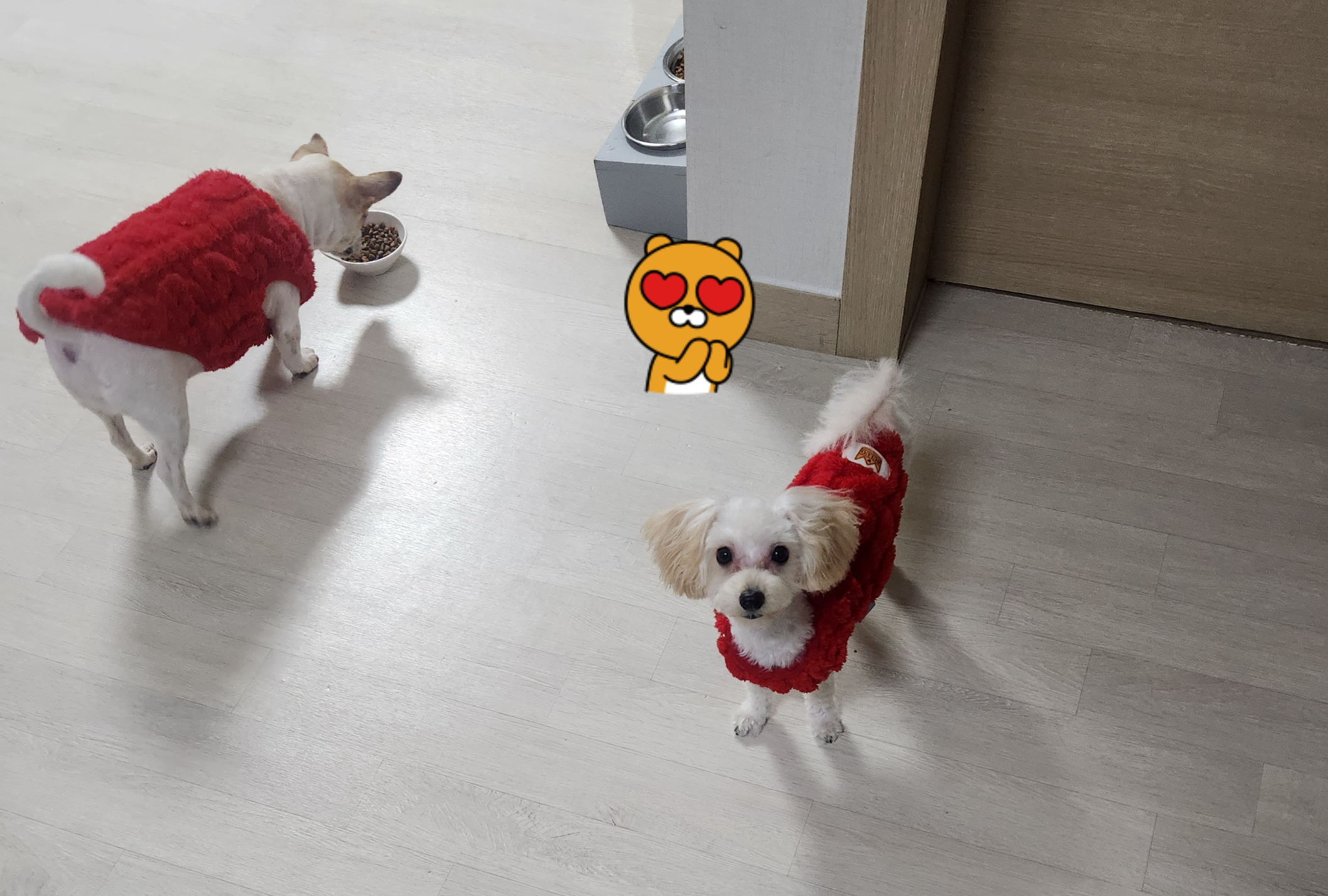 미용한 사랑이와 나리