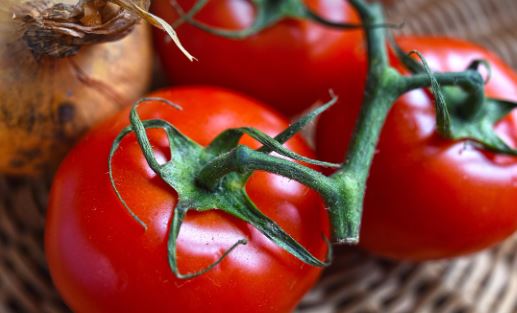 주간 도시락 식단표 짜는 법: 영양과 예산을 동시에 관리하는 방법