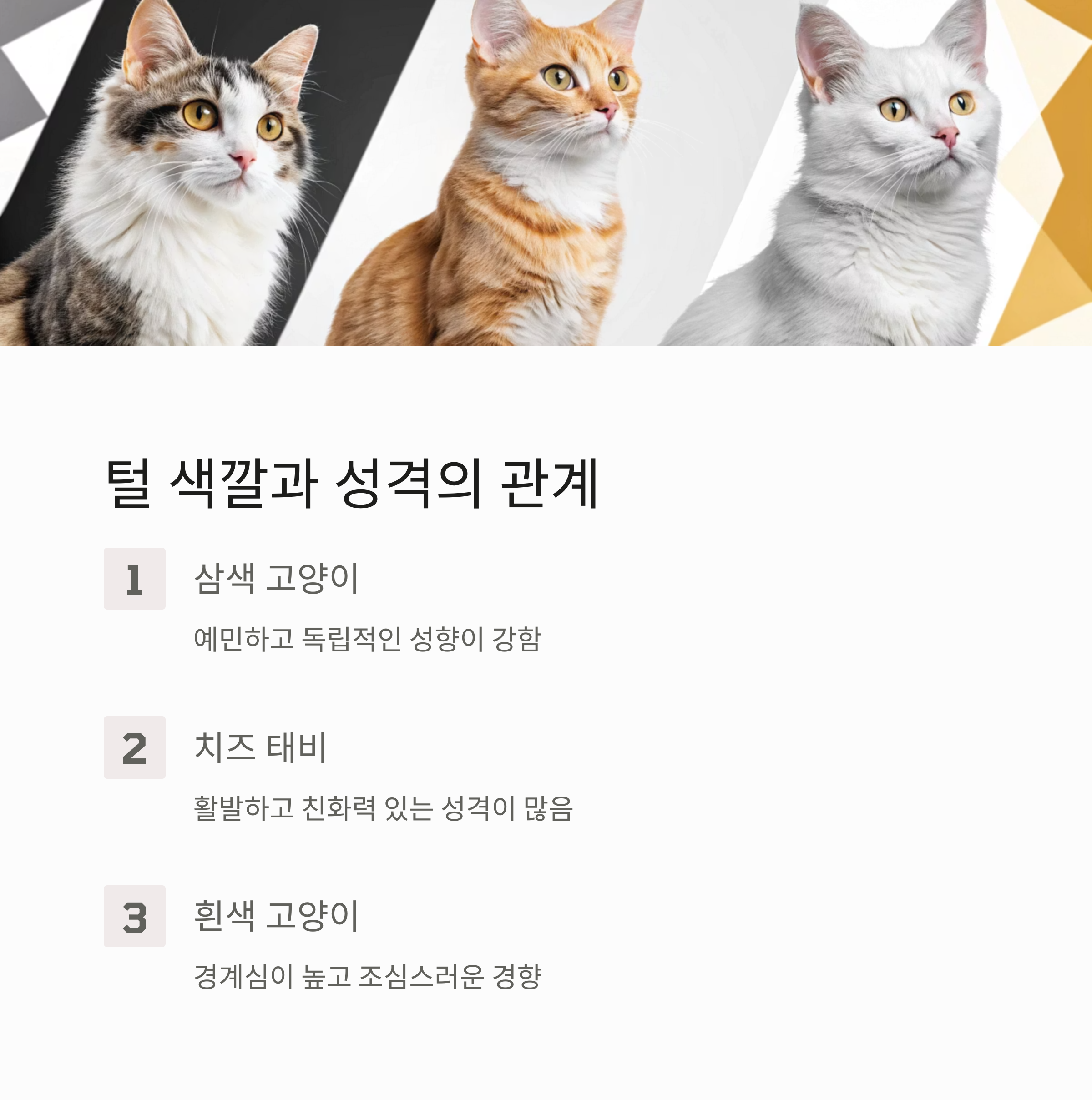 털 색깔과 성격의 관계