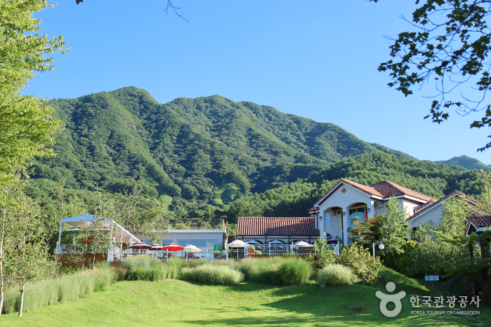 함양 가볼만한곳 베스트10