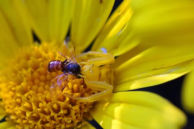 꽃게탕 끓이는 방법을 단계별로_2