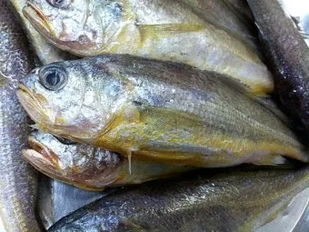 냉동생선 해동 생선 맛있게 굽기 꿀팁_8