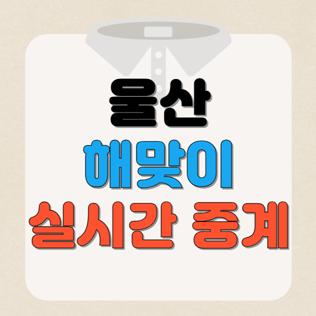 2025 울산 일출 해돋이 실시간 생중계 안내