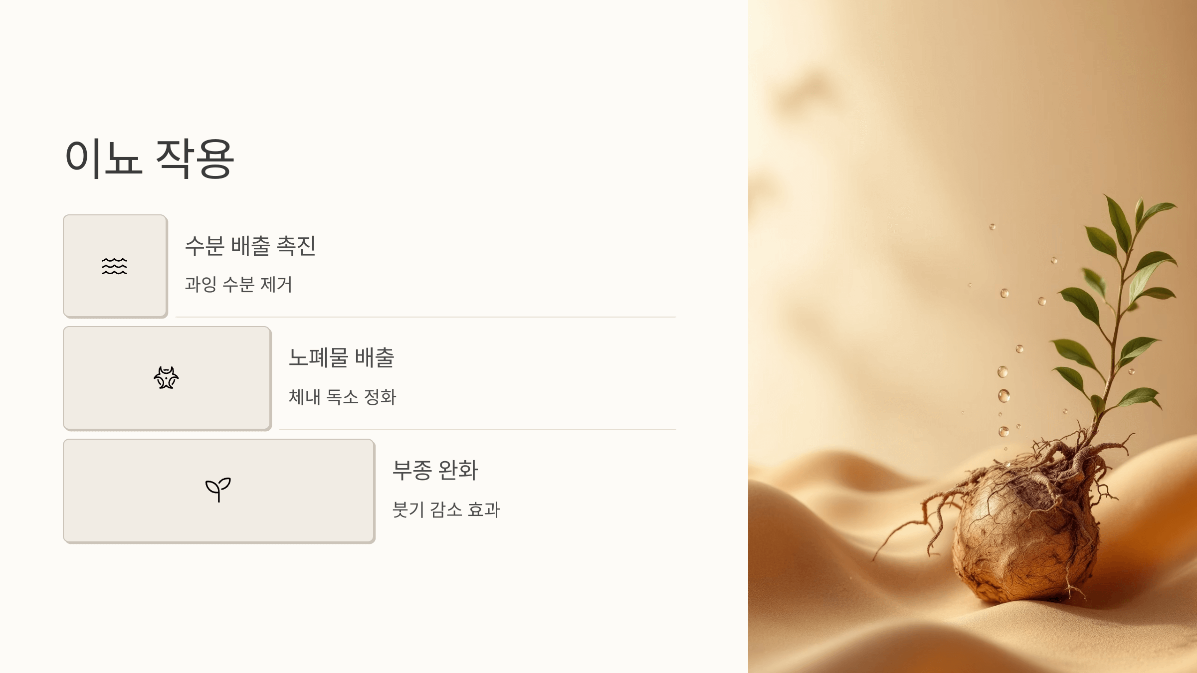 우슬뿌리 사진입니다.