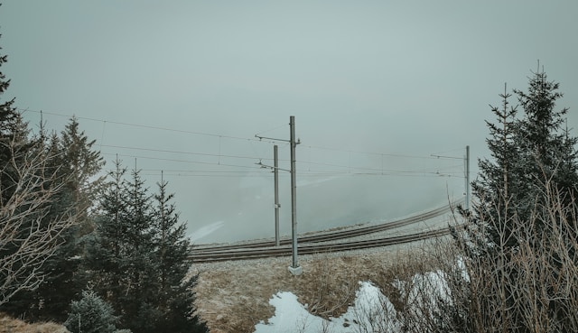 한파 대설 특보 동시 발령 필수 대처법