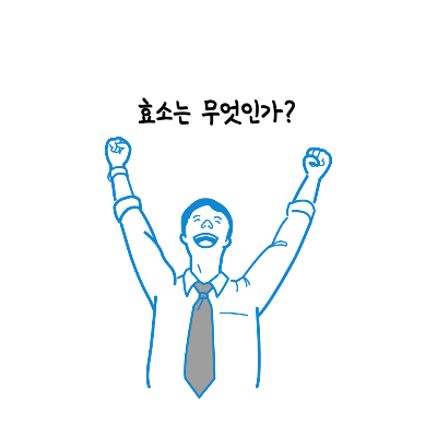 효소-효능-기능