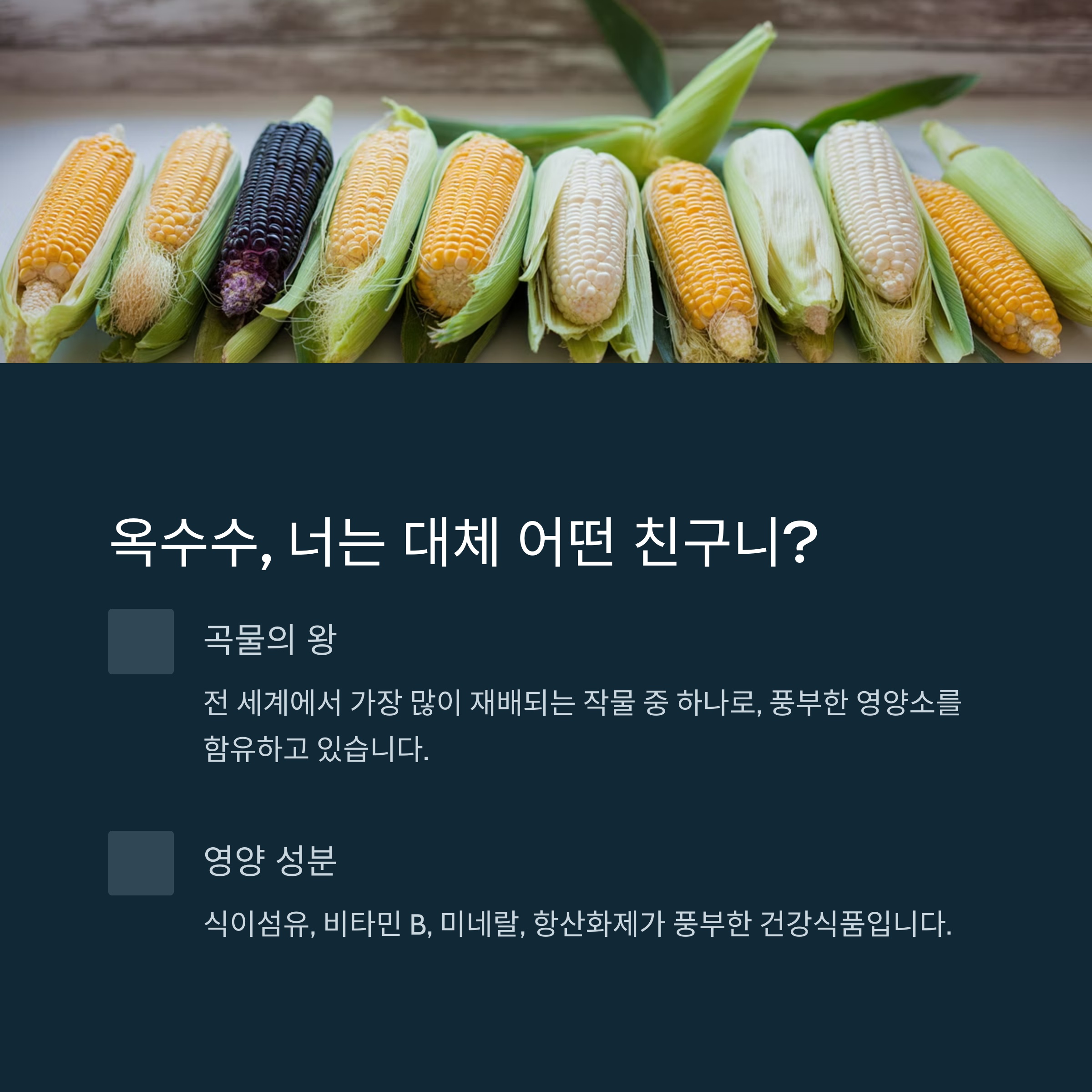 옥수수, 너는 대체 어떤 친구니? (옥수수의 기본 정보)