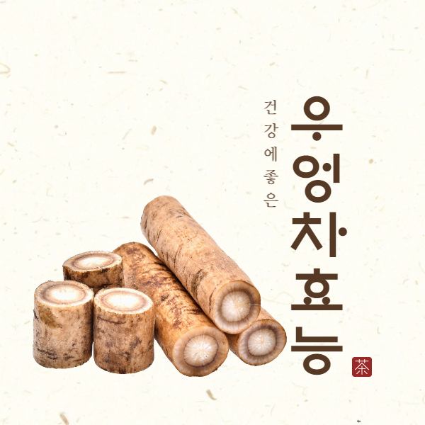 우엉차 효능│우엉차 효능 부작용 알고 드세요!