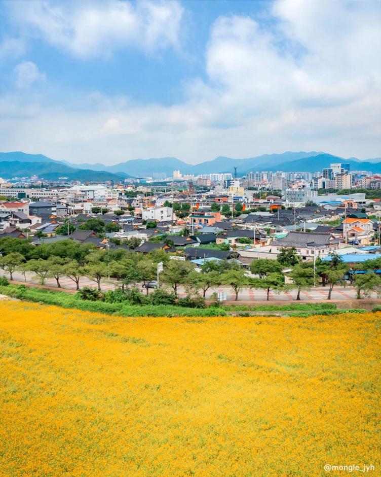 가을 여행지 코스모스 꽃구경 추천 장소