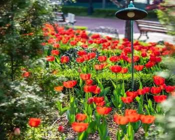 퍼스트가든 봄꽃축제 블루밍가든_17