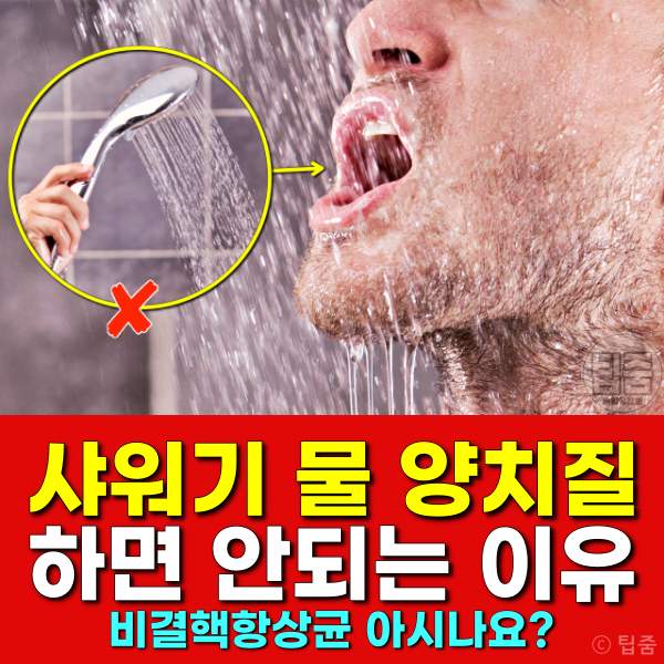 샤워기 폐렴,비결핵항상균