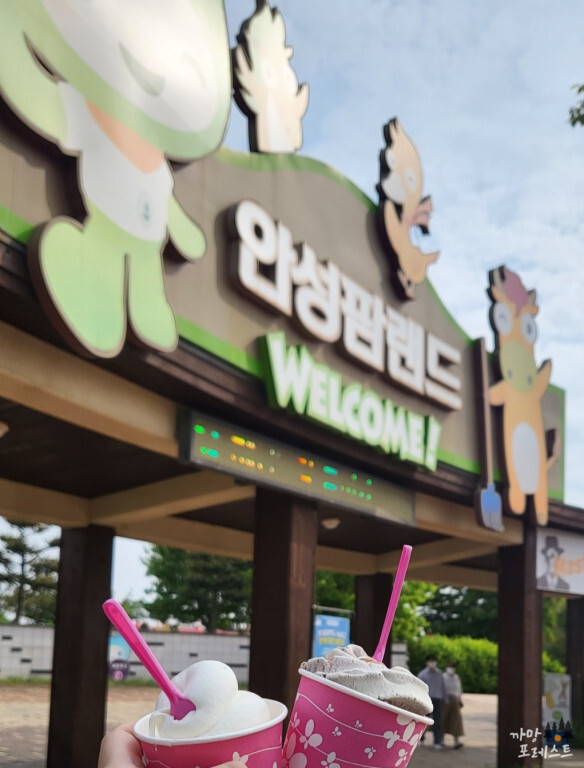 안성 팜랜드 아이스크림