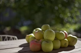 살론 대출자격 조건 신청방법