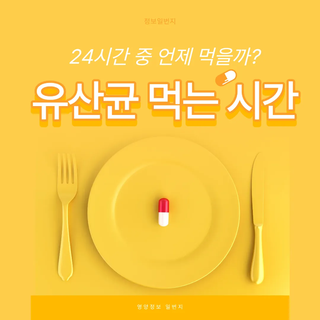 유산균-프로바이오틱스-장내유익균-유산균효능-프로바이오틱스효능-먹는시간-락토바실러스