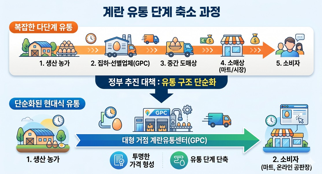 인포그래픽 스타일로 표현된 계란 유통 단계 축소 과정
 인포그래픽 스타일로 표현된 계란 유통 단계 축소 과정