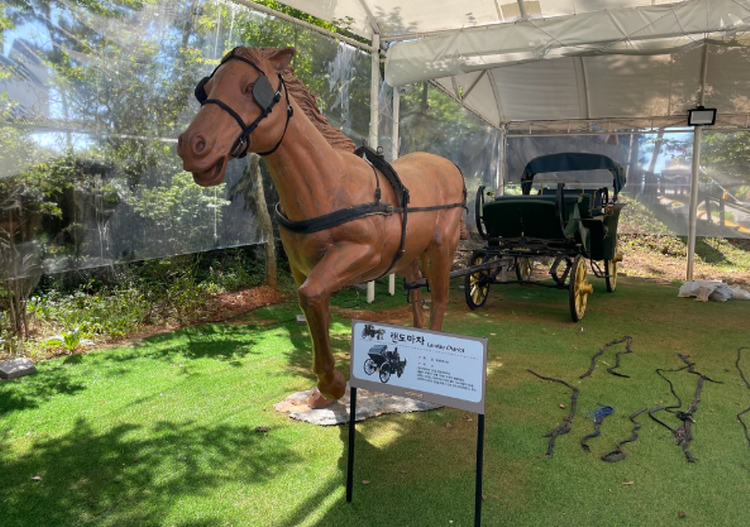 안면도 쥬라기박물관