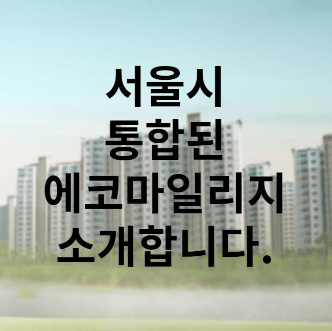 서울시 승용차마일리지