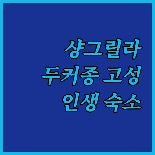 나만 알고 싶은 두커종 고성 명소와 ..