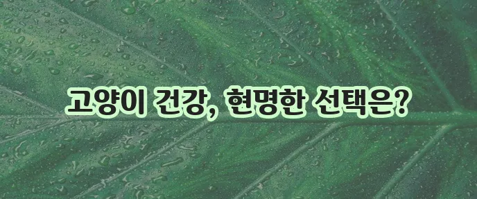 고양이 예방접종 비용 건강한 고양이 위한 필수 투자입니다!