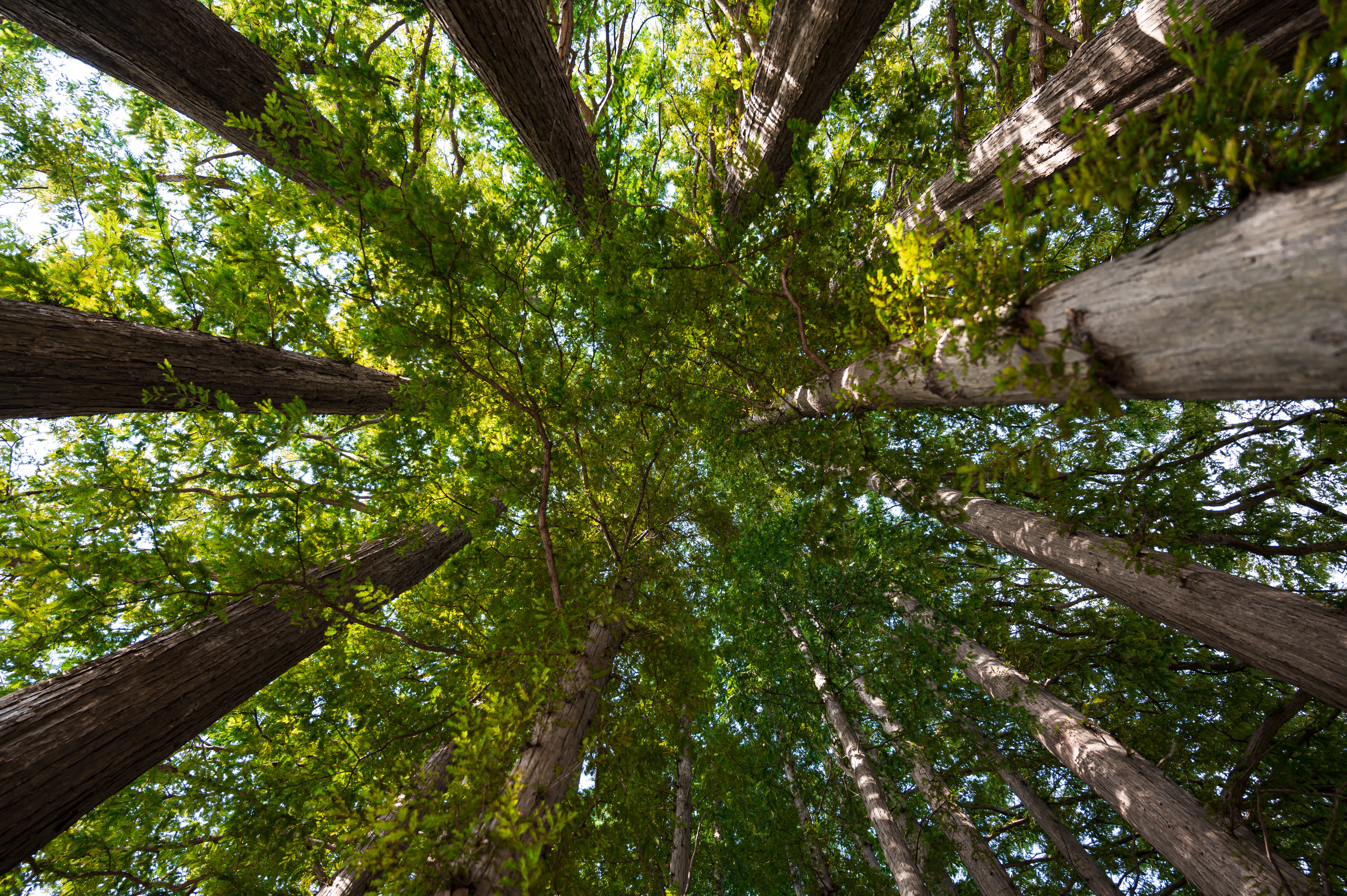 ์๊ฐํ ์ ์