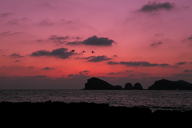 제주도 차귀도