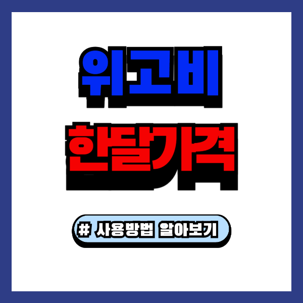 위고비 한달가격