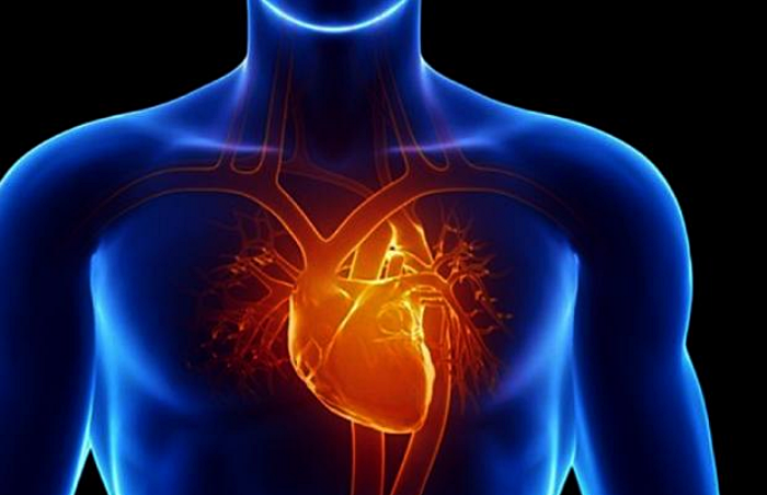 심정지 응급처치 시간과 전조증상