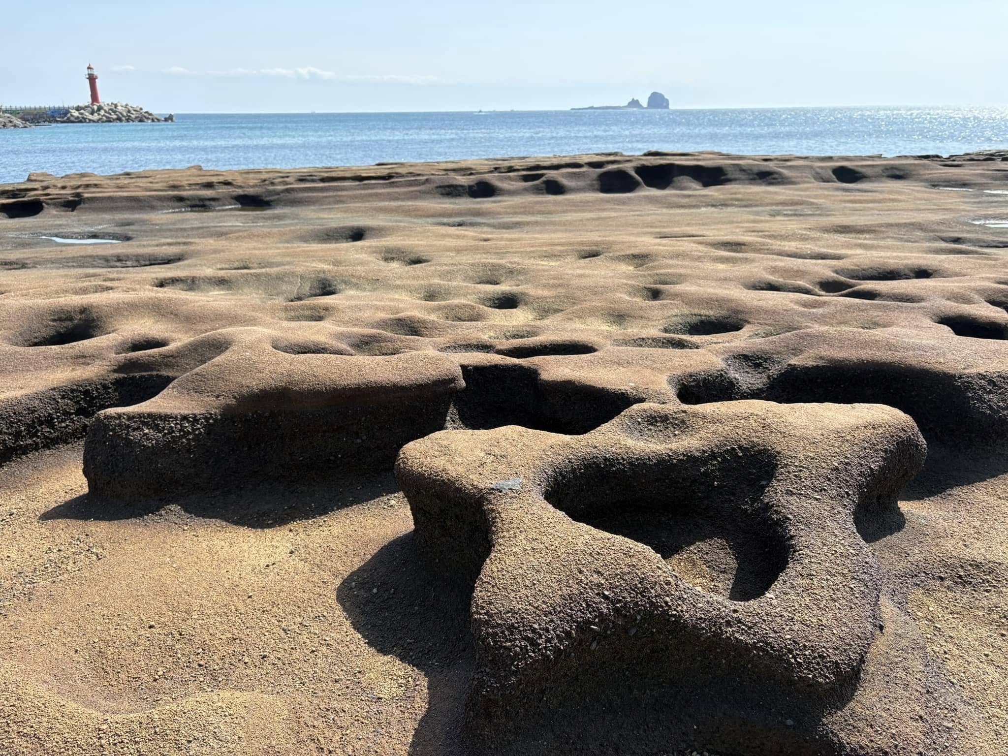 자유 편집용 이미지(선택)