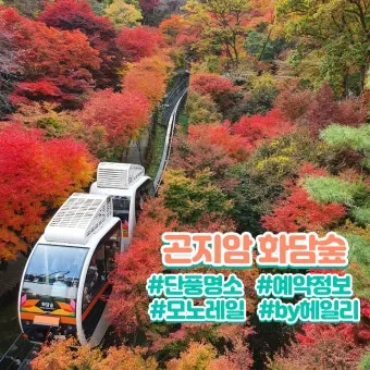 경기도 1박 2일 여행지 추천 베스트 5곳 총정리 완벽 코스_8