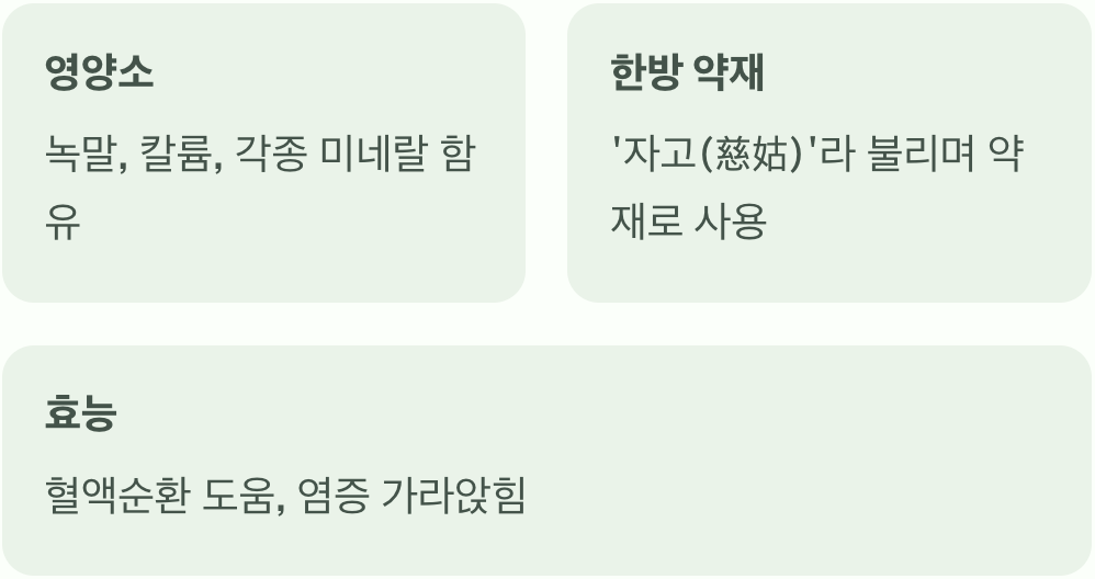 단순한 구황작물, 그 이상의 가치