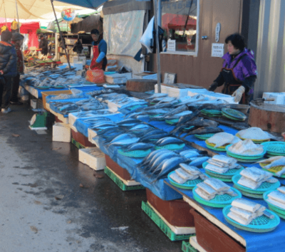 2차 민생회복 소비쿠폰