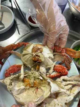 6월 꽃게 금어기 정확한 일정과 유통 제한 상세 정보 총정리_20