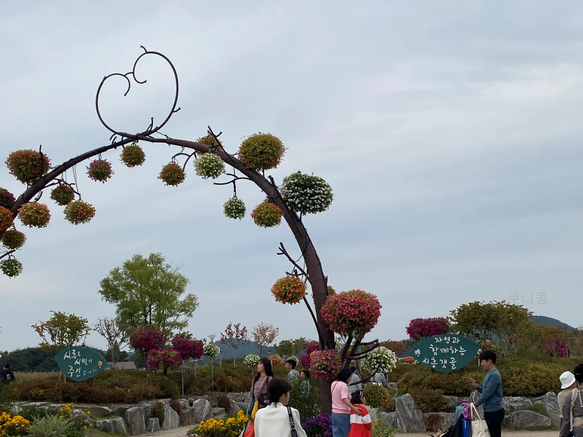 서울-근교-나들이-가볼만한곳-추천-억새-코스모스-시흥갯골생태공원-무료-주차-꿀팁