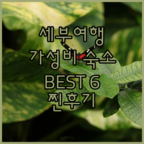 세부 가성비 호텔 추천 BEST 6 