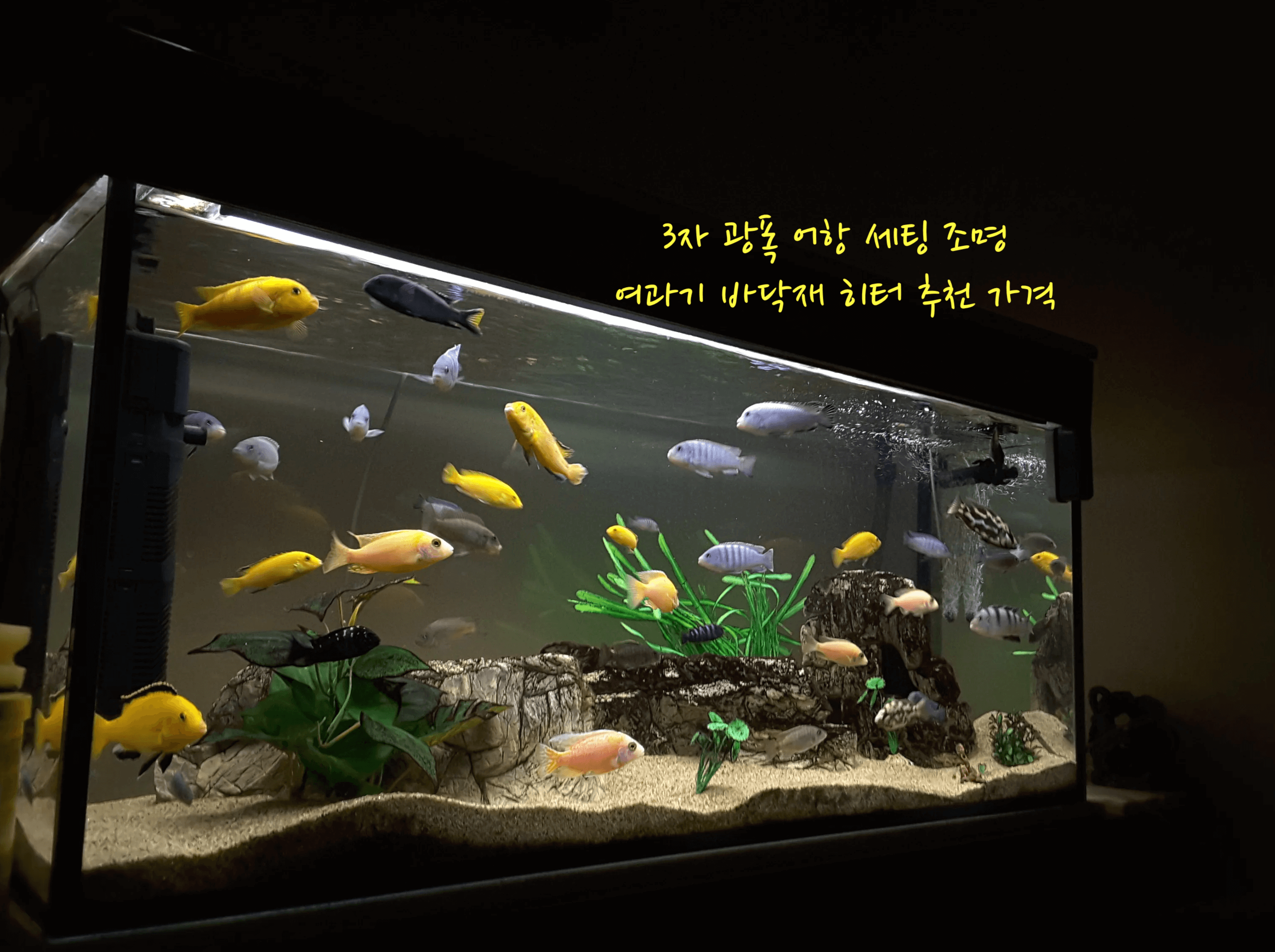 3자 광폭 어항 세팅