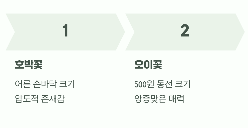 결정적 차이, 크기부터 비교하세요