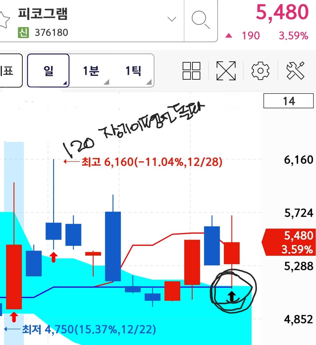 피코그램-일봉차트