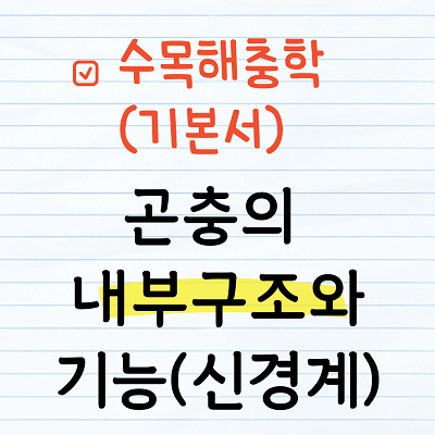 곤충의 신경계