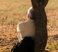 ktx-경로-우대-할인