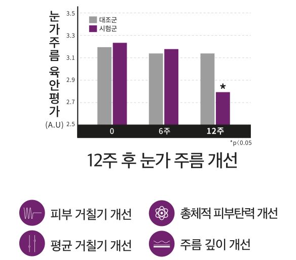 에버콜라겐_사용후기