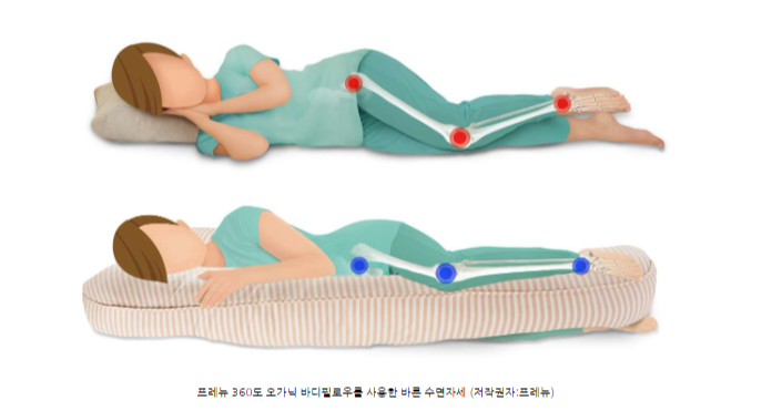 임산부바디필로우내돈내산