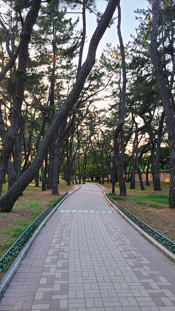 경주-당일치기-대릉원