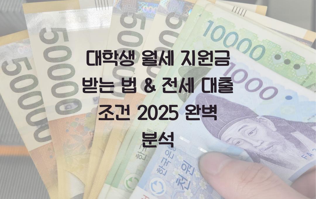 대학생 월세 지원금 받는 법 & 전세 대출 조건 완벽 분석