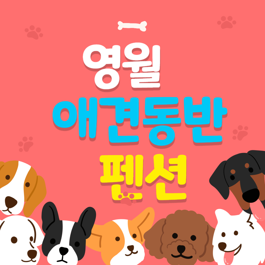 영월 애견동반 펜션