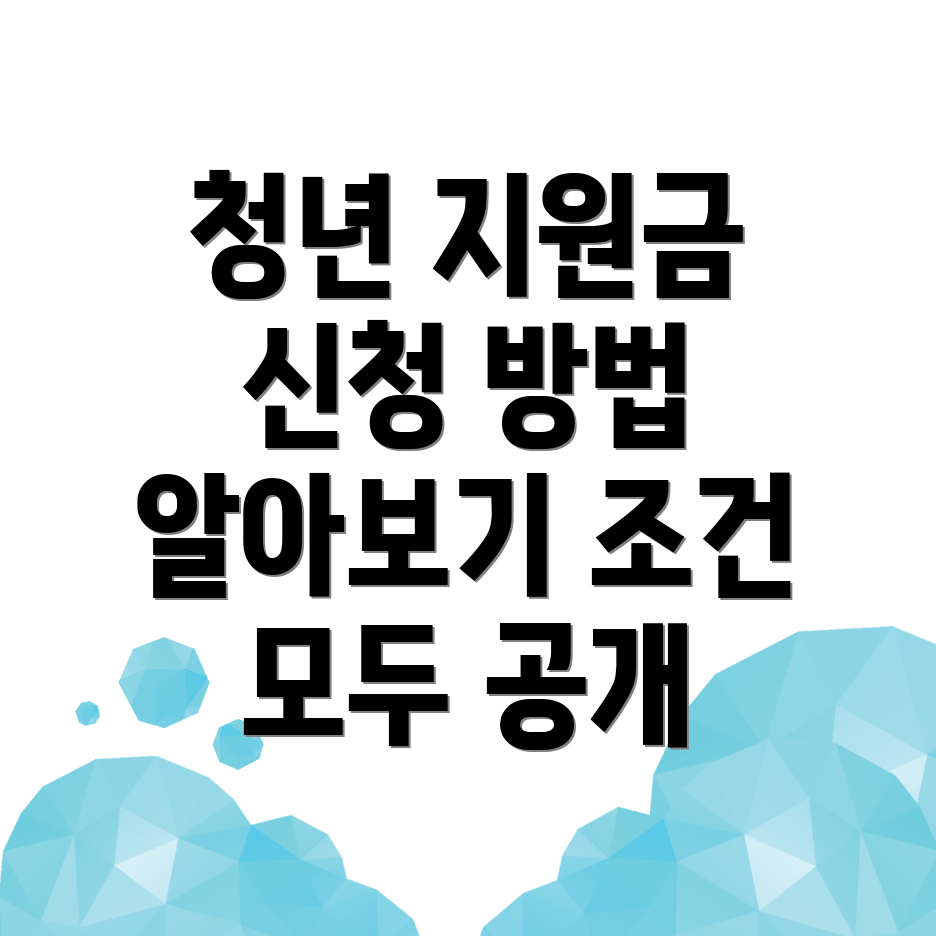 청년지원금