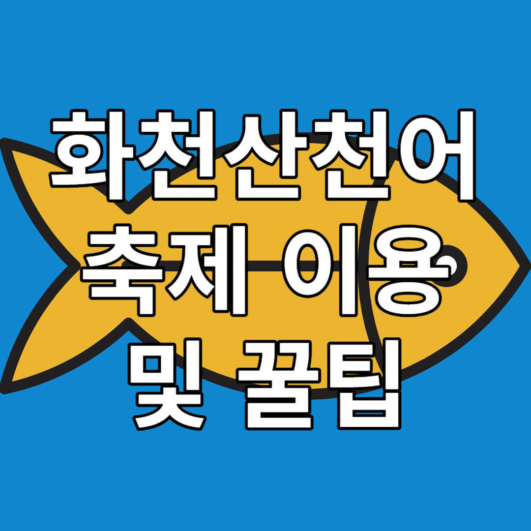 화천 산천어축제 이용료 숙소 및 꿀팁